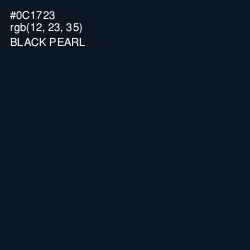 #0C1723 - Black Pearl Color Image